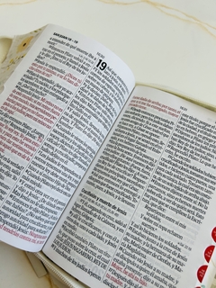 Biblia blanco rosado, canto pintado con índice y cierre, letra grande. - comprar online