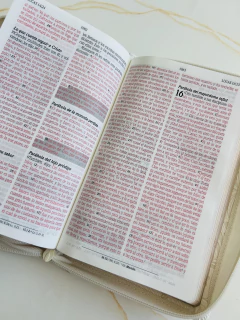 Santa Biblia de Promesas, Jesús Para Todos, Letra Grande, con cierre, Marfil Reina Valera 1960