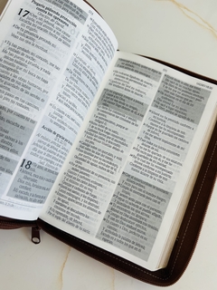 Santa Biblia de Promesas Jesús Para Todos, Piel especial con cierre, Café en internet