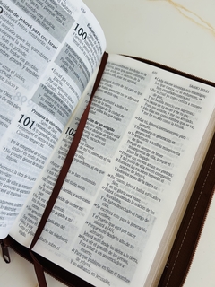 Santa Biblia de Promesas Jesús Para Todos, Piel especial con cierre, Café - El Maestro Tejedor
