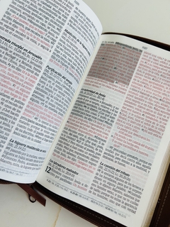 Imagen de Santa Biblia de Promesas Jesús Para Todos, Piel especial con cierre, Café