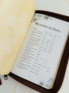 Santa Biblia de Promesas Jesús Para Todos, Piel especial con cierre, Café - comprar online