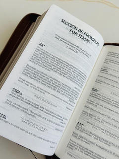 Santa Biblia de Promesas Jesús Para Todos, Piel especial con cierre, Café - El Maestro Tejedor