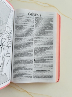 Imagen de Biblia Rosa claro Canto Pintado, Sin Cierre RVR1960