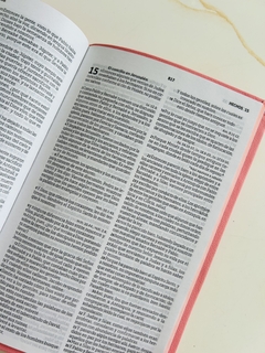 Biblia Rosa claro Canto Pintado, Sin Cierre RVR1960 en internet