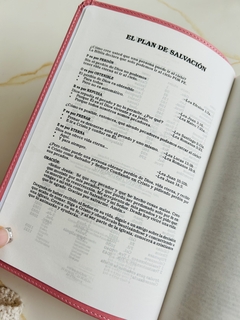 Biblia para regalos y premios RVR 1960 - tienda online