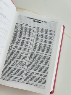 Imagen de Biblia para regalos y premios RVR 1960