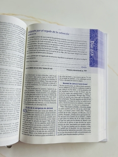Biblia De Una Joven Conforme Al Corazón De Dios/Tapa Dura - El Maestro Tejedor