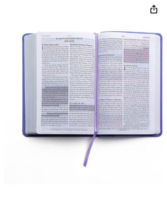 Biblia de Promesas RVR Tamaño Manual Lavanda Imitacion Piel - comprar online