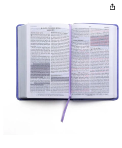 Biblia De Promesas RVR Manual Lavanda Imitacion Piel Cierre - comprar online
