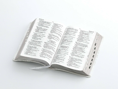 Imagen de Biblia para Boda, Canto Plateado con índice y letra Grande