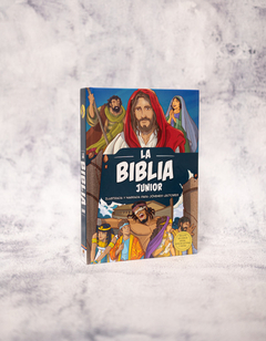 Biblia Junior Ilustrada y narrada para jóvenes lectores - comprar online