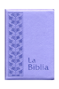 Biblia flexible cierre lila plateada con cierre