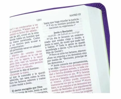 Santa Biblia NVI Letra Grande Tamaño Bolsillo Violeta en internet