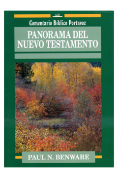 Panorama del nuevo testamento