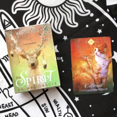 Caja de adivinación con Tarot u oráculo importado - Templaria