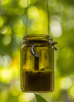 Vela de noche colgante
