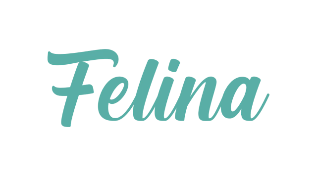 Felina Lencería