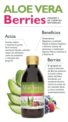 Pack X3 Aloe Vera Berries Bebible Aumenta Defensas Natier 500ml en internet
