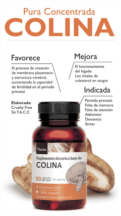 Pack X2 Colina Sistema Cognitivo Natier 50 capsulas en internet