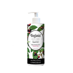 Shampoo Maqui Patagónico Deep Luminous Veganis Cabello Teñido Maltratado 400ml