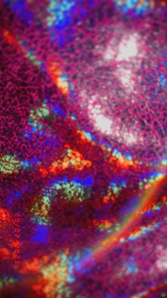 Imagem do Hotpants laminado pink