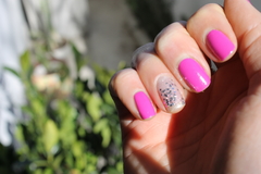 Banner de la categoría ROSAS/FUCSIA