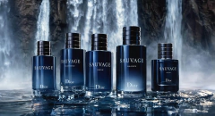 Christian Dior, Sauvage Elixir en internet