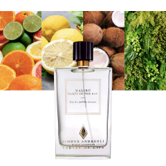 Simone Andreoli, Malibu - Party in the Bay edp intense en internet