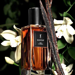 Yves Saint Laurent, Babycat Raw Bourbon en internet