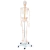 Esqueleto Completo - Tamaño natural - - comprar online