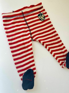 Ranita lineas rojas Little akiabara 3m(01)