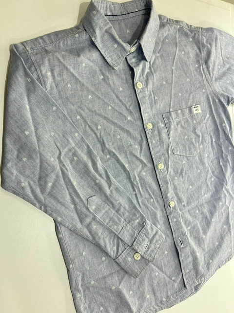 Camisas crayon t8a(365)