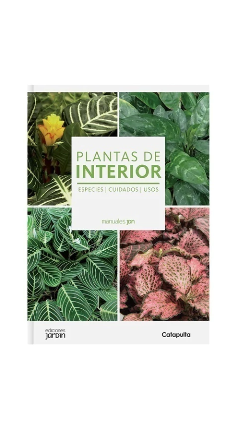 Plantas de interior