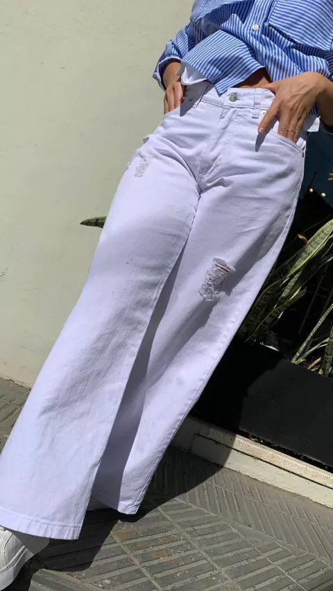 JEAN STRAIGHT CEREUS