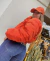 Imagen de CAMPERA NEWELL