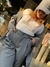 PANTALON SERIF - comprar online
