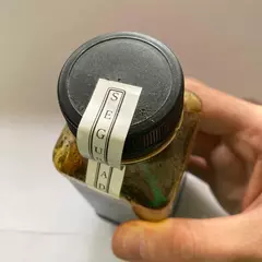 Saborizante premium Frutos del bosque 200 gr. - comprar online