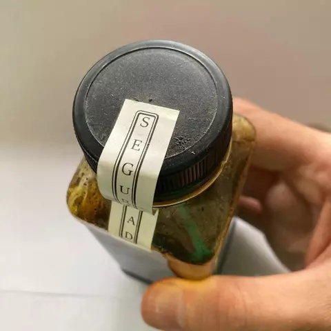 Saborizante premium Frutos del bosque 200 gr. - comprar online