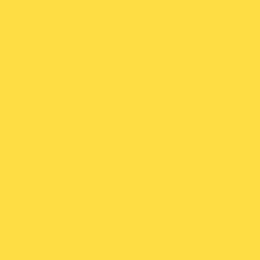 Fundo Infinito PAPEL #107 Daffodil Bd Company - comprar online
