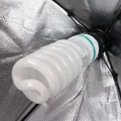 Kit de Iluminação SoftStar Light II - Foto Imagem Rio