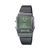 RELOJ CASIO AQ-800ECGG-3A