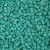 (DB878-TB) DELICA 11/0 MIYUKI BD MATT OPAQUE TURQ. AB - 7,2 gr
