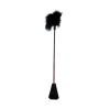 FB-FUSTA + PLUMA