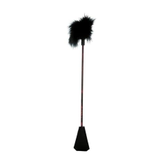 FB-FUSTA + PLUMA