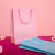 10 sacolas rosa - A.11.05 - Clush | Óculos Atacado e Acessórios