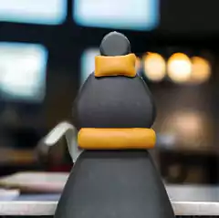 Juego de almohadones cervical y lumbar Ecocuero Naranja