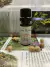 Aceite esencial Tea Tree 8g