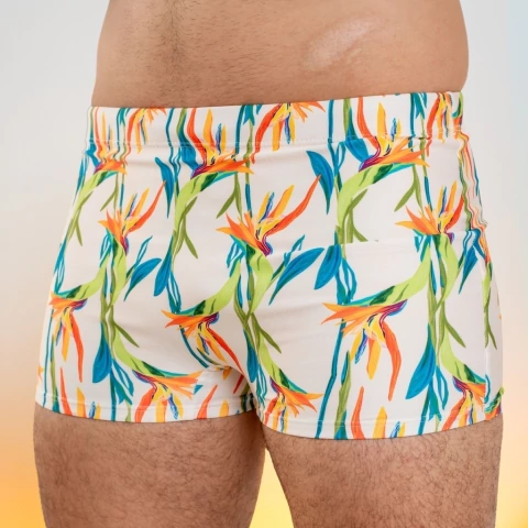 SUNGA BOX ESTRELÍCIA FPU50+ ADULTO - comprar online