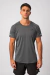Remera Apex Limitless Gris